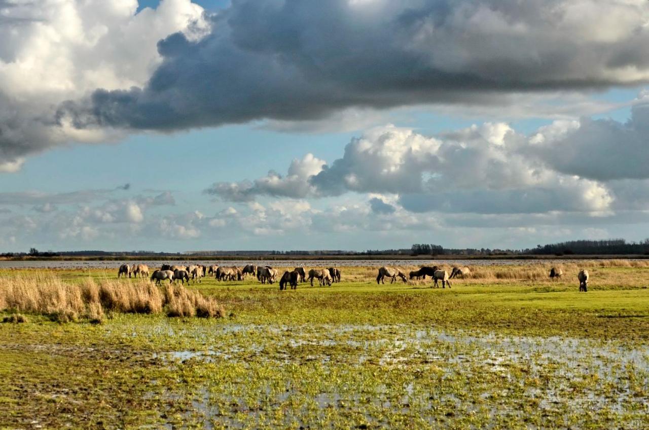 Siblu Camping Lauwersoog Bagian luar foto